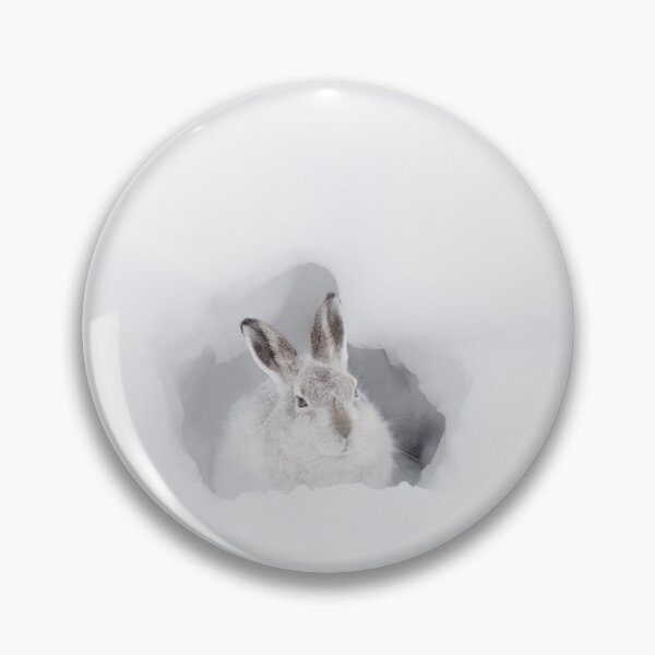 Item preview, Scottish Mountain Hare designed and sold by Wildlife Photographer UK.