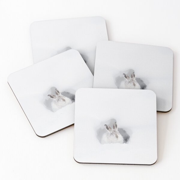 Item preview, Scottish Mountain Hare designed and sold by Wildlife Photographer UK.