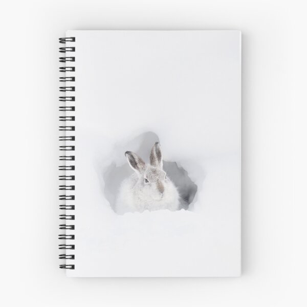 Item preview, Scottish Mountain Hare designed and sold by Wildlife Photographer UK.