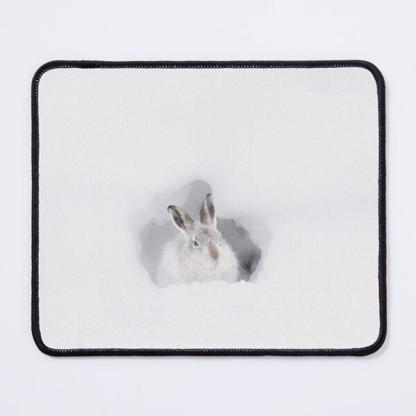 Item preview, Scottish Mountain Hare designed and sold by Wildlife Photographer UK.