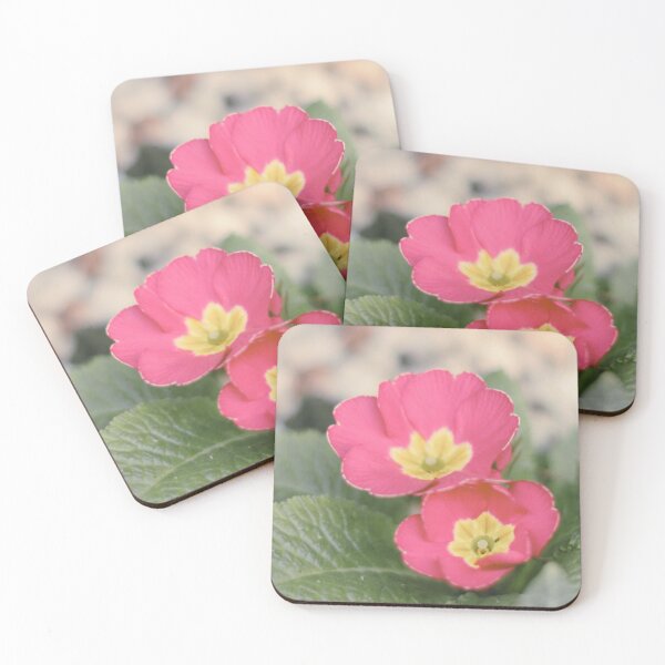 Item preview, Early Spring Primroses Dreamy Edit designed and sold by Page Photography.