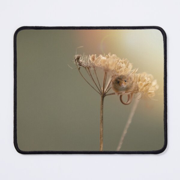 Item preview, Harvest Mouse designed and sold by Wildlife Photographer UK.