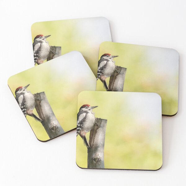 Artikelvorschau, Buntspecht entworfen und verkauft von Wildlife Photographer UK.