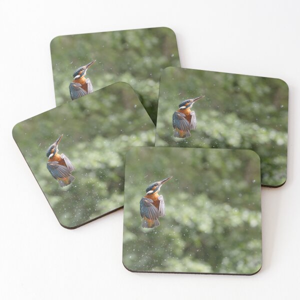 Item preview, Female Kingfisher unsuccessful dive designed and sold by Wildlife Photographer UK.