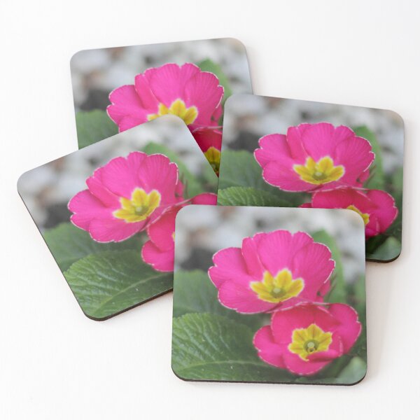 Item preview,  Early Spring Primroses True Edit designed and sold by Page Photography.
