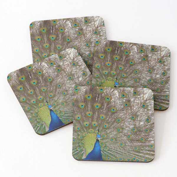Item preview, Peacock in Full Display designed and sold by Page Photography.