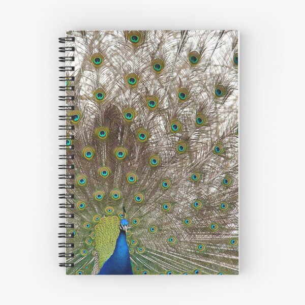 Item preview, Peacock in Full Display designed and sold by Page Photography.
