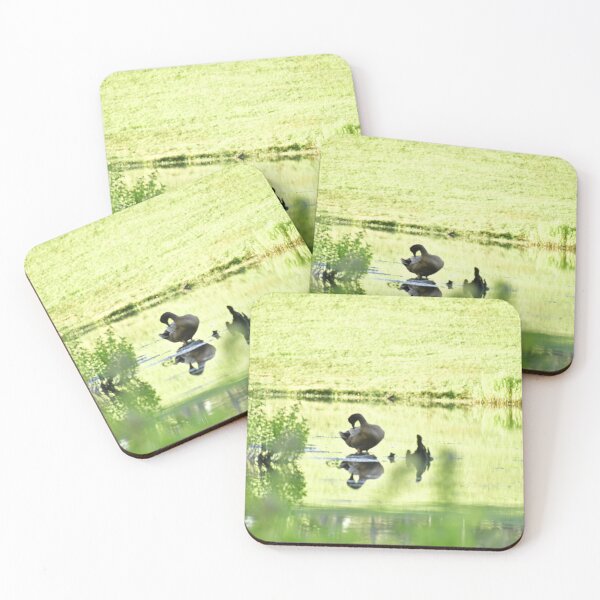 Item preview, A wild duck cleaning itself designed and sold by FoxGlove5.