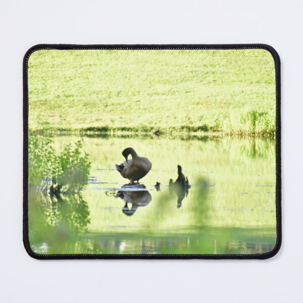 Item preview, A wild duck cleaning itself designed and sold by FoxGlove5.