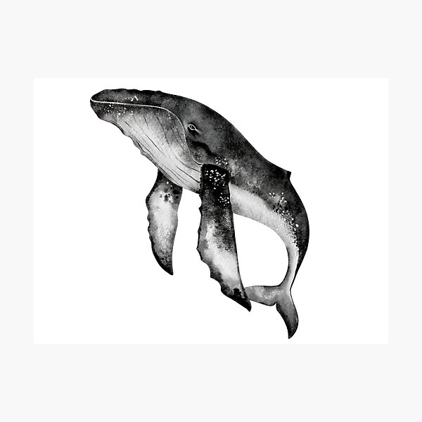 Item preview, Whale grey watercolor art  designed and sold by Milana Rosenwald.