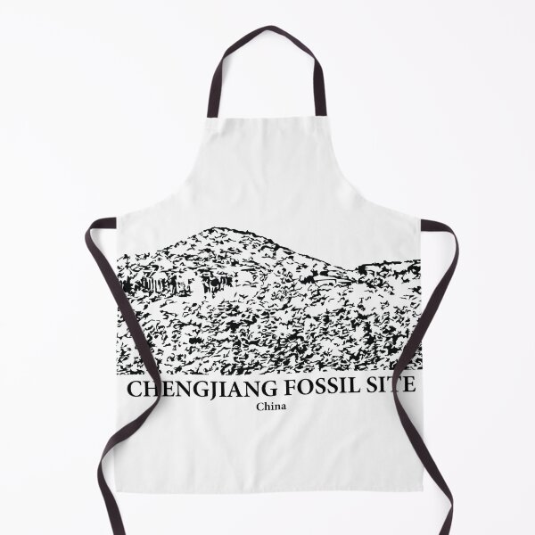 Item preview, Chengjiang Fossil Site - China designed and sold by Lakeric.