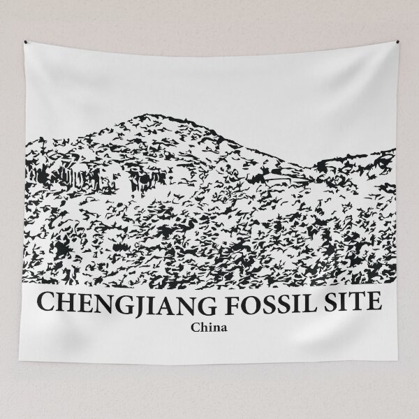 Item preview, Chengjiang Fossil Site - China designed and sold by Lakeric.