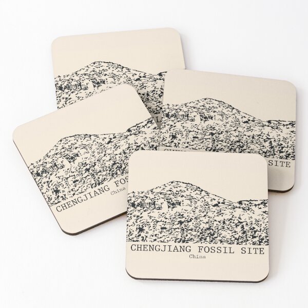 Item preview, Chengjiang Fossil Site - China designed and sold by Lakeric.