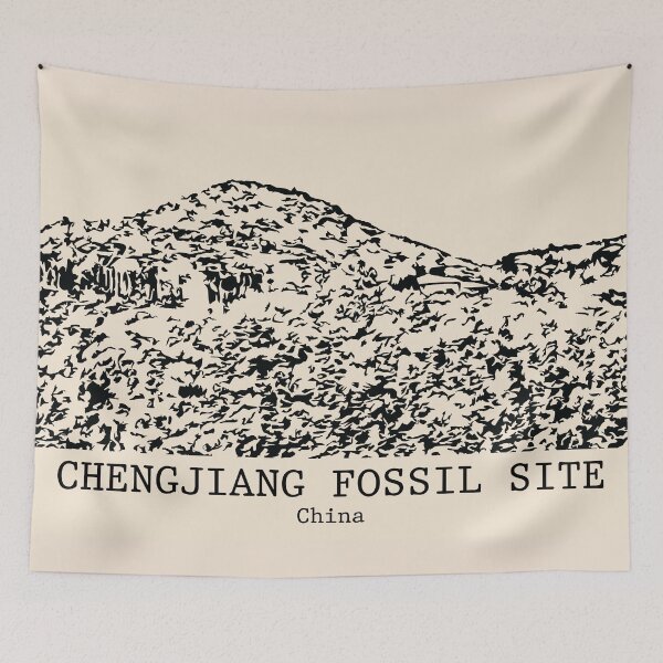 Item preview, Chengjiang Fossil Site - China designed and sold by Lakeric.