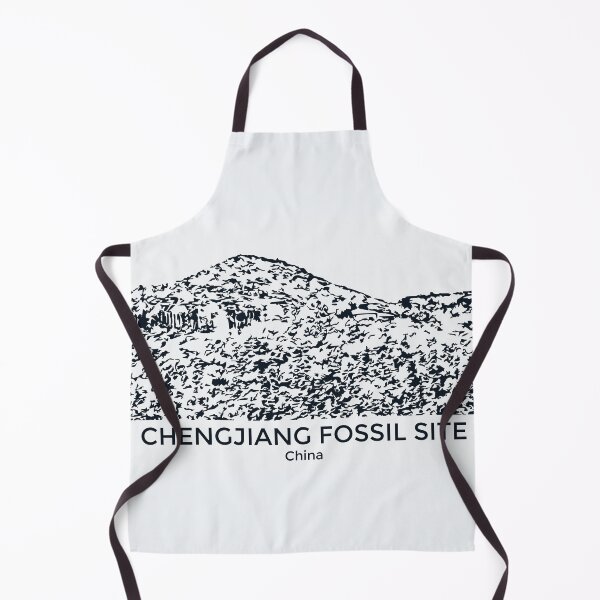 Item preview, Chengjiang Fossil Site - China designed and sold by Lakeric.