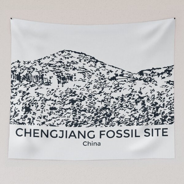 Item preview, Chengjiang Fossil Site - China designed and sold by Lakeric.