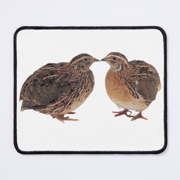 Item preview, Couple of quails designed and sold by di-Vera-Rosati.
