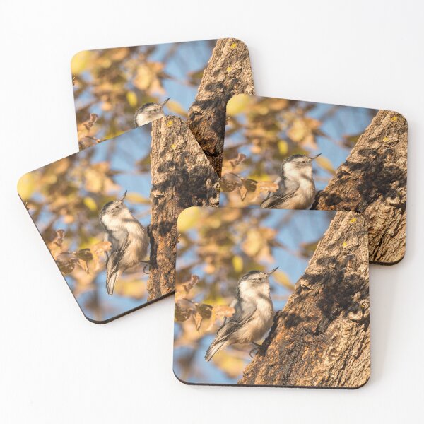 Item preview, Nuthatch Moving All Around The Tree Trunk designed and sold by Debra Martz.