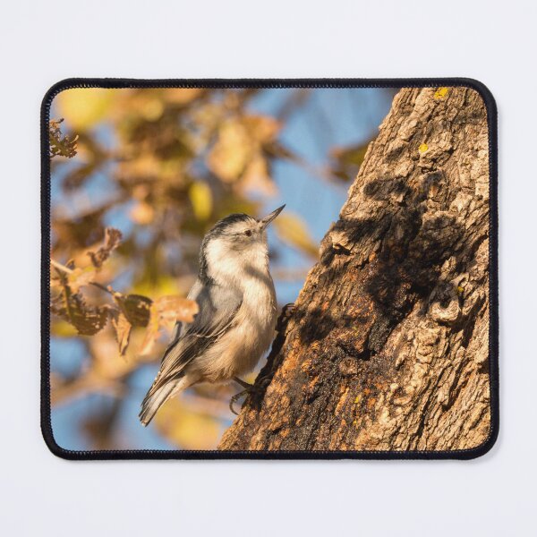 Item preview, Nuthatch Moving All Around The Tree Trunk designed and sold by Debra Martz.