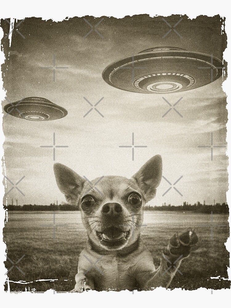 White Chihuahua Dog Flying Chihuahua Flying Flying Puppy Art Print