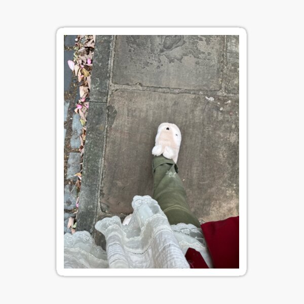 Bunny Slippers Photo Sticker