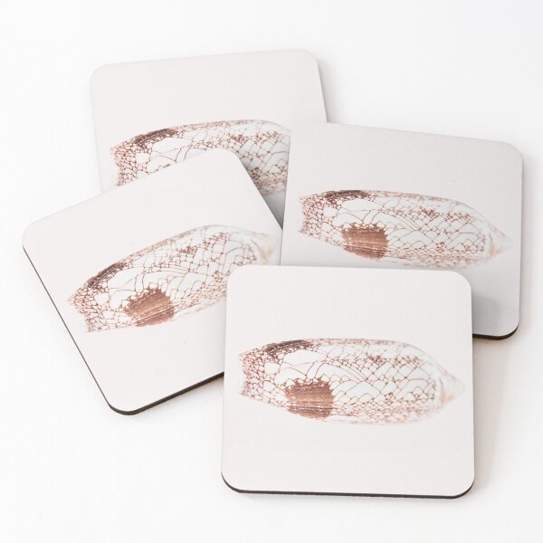 Item preview, Detailed sea side shell designed and sold by Page Photography.