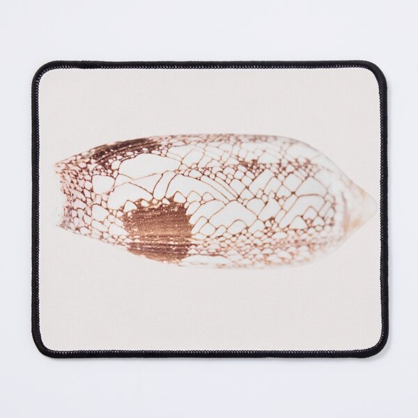 Item preview, Detailed sea side shell designed and sold by Page Photography.