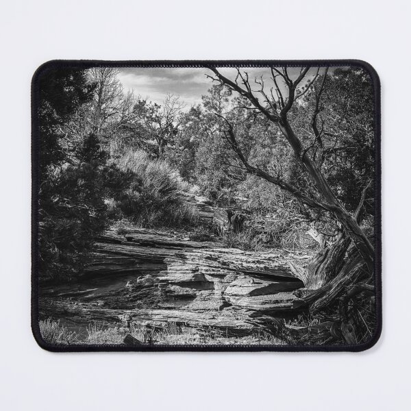 Item preview, High Desert Trail designed and sold by The Scenic Route.