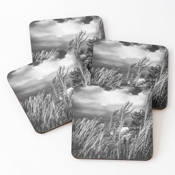 Item preview, Tall Grass in the Breeze designed and sold by The Scenic Route.
