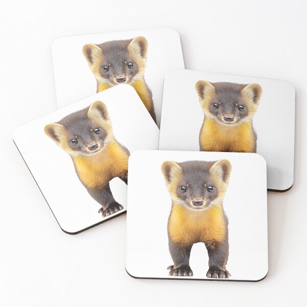 Item preview, A cute baby Pine martin looking straight ahead designed and sold by Steve-Craig.