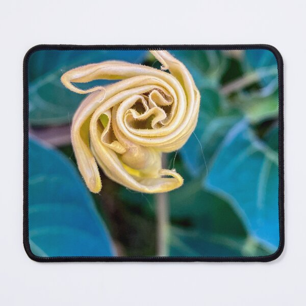 Item preview, Datura Blossom designed and sold by The Scenic Route.