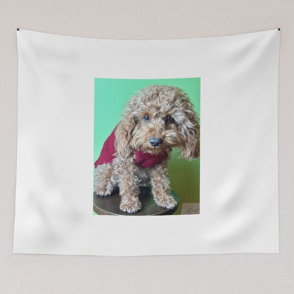 Item preview, Jared designed and sold by BOBBYBABE.