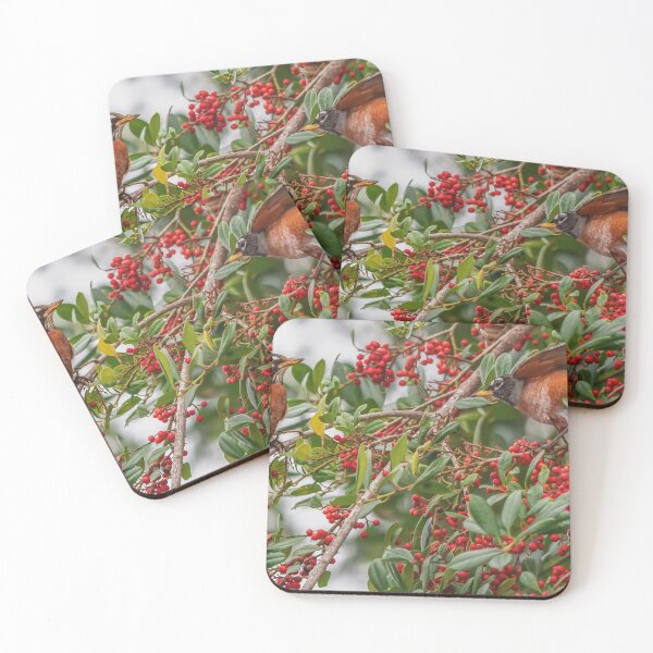 Item preview, An American Robin, with its vibrant red-orange breast and dark grayish-brown back designed and sold by EyezWatchin.