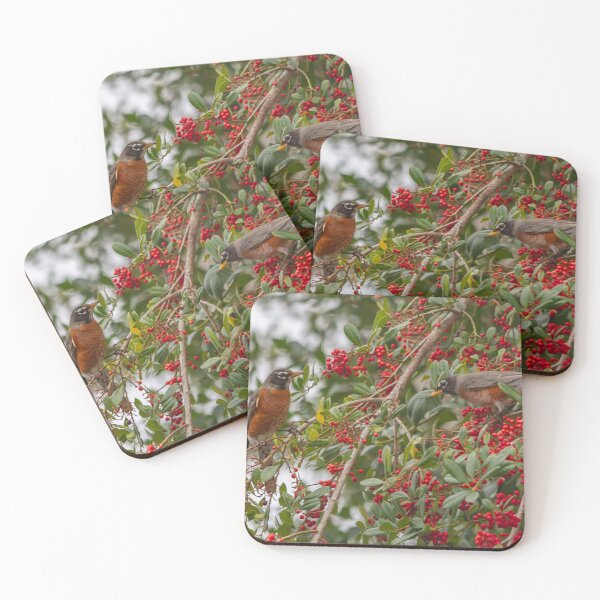 Item preview, An American Robin, with its vibrant red-orange breast and dark grayish-brown back, hops energetically among the branches of a fruit tree in Crystal River, Florida. designed and sold by EyezWatchin.