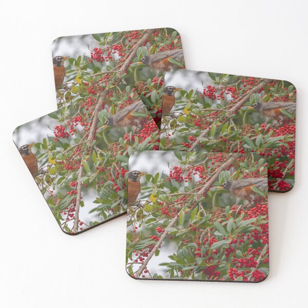 Item preview, An American Robin, with its vibrant red-orange breast and dark grayish-brown back, hops energetically among the branches of a fruit tree in Crystal River, Florida designed and sold by EyezWatchin.