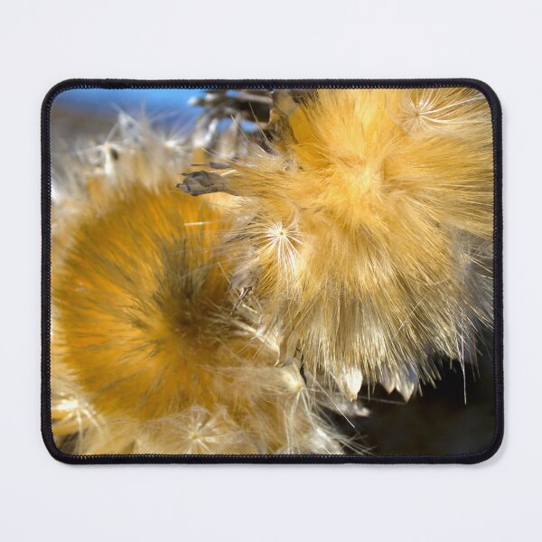 Item preview, Thistle Close Up designed and sold by Scott K Smith.