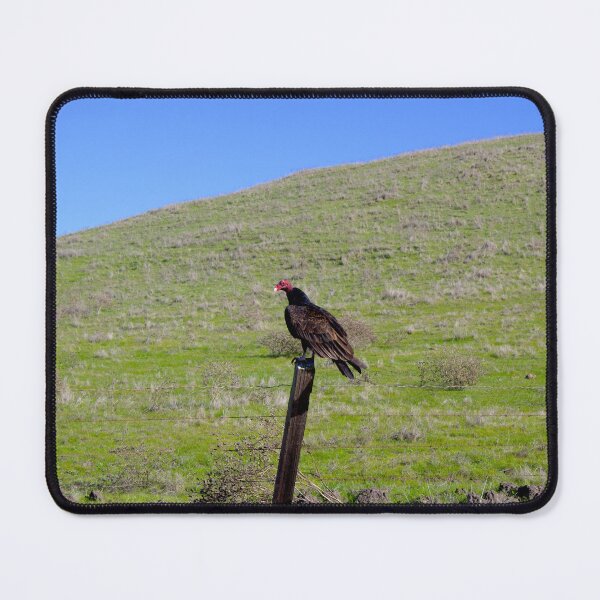 Item preview, Vulture designed and sold by Scott K Smith.