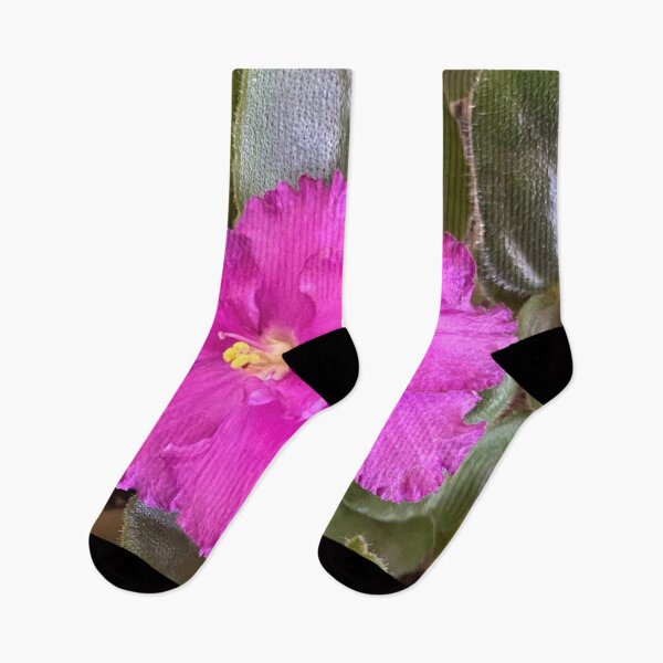 Item preview, Vibrant African Violets designed and sold by CJRPics.