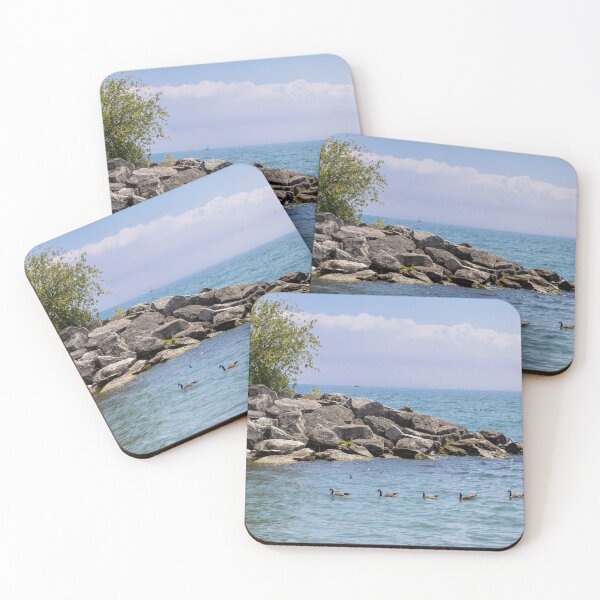 Item preview, Ducks Swimming in Lake Ontario, Bluffer's Park designed and sold by jrtwynam.