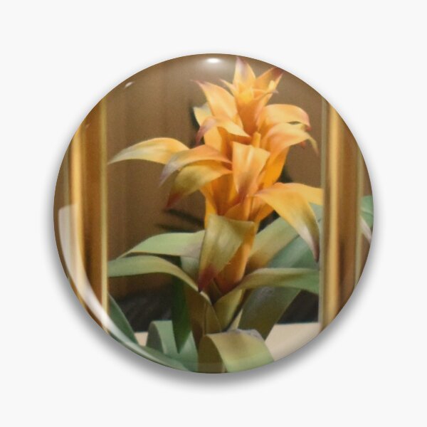 Item preview, Mandalay Bay: Bromeliad designed and sold by MangoSeeds.