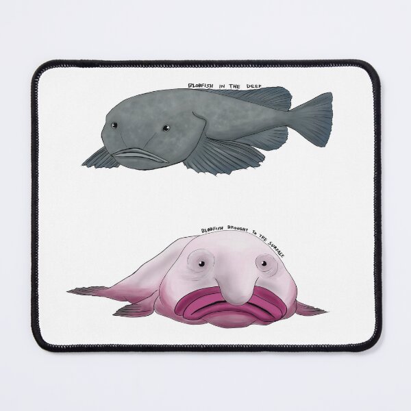 Item preview, Blobfish before and after  designed and sold by LordWolff.