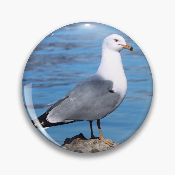Item preview, Gull Standing On a Rock In The Water designed and sold by BackyardBirder.