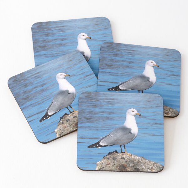 Item preview, Gull Standing On a Rock In The Water designed and sold by BackyardBirder.