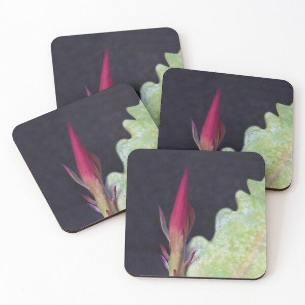 Item preview, Soon to Bloom designed and sold by heatherfriedman.