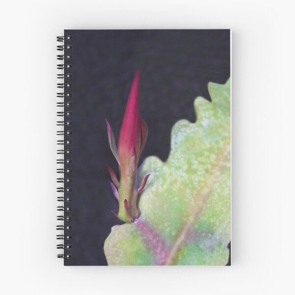 Item preview, Soon to Bloom designed and sold by heatherfriedman.