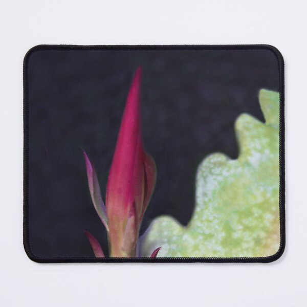 Item preview, Soon to Bloom designed and sold by heatherfriedman.