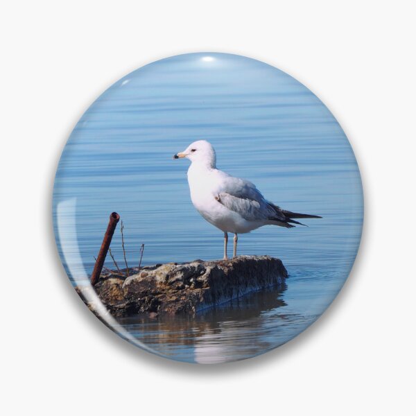 Item preview, Gull Resting On a Rock In The Water designed and sold by BackyardBirder.