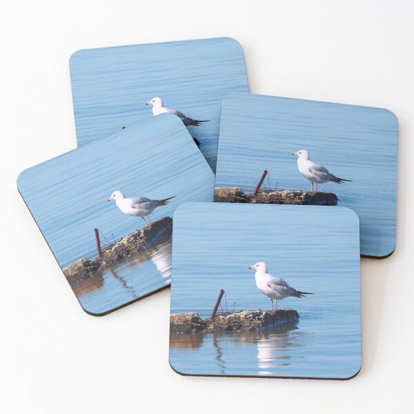 Item preview, Gull Resting On a Rock In The Water designed and sold by BackyardBirder.
