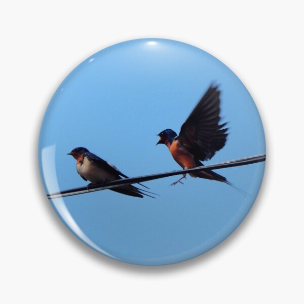Item preview, Barn Swallows Perched On a Wire designed and sold by BackyardBirder.