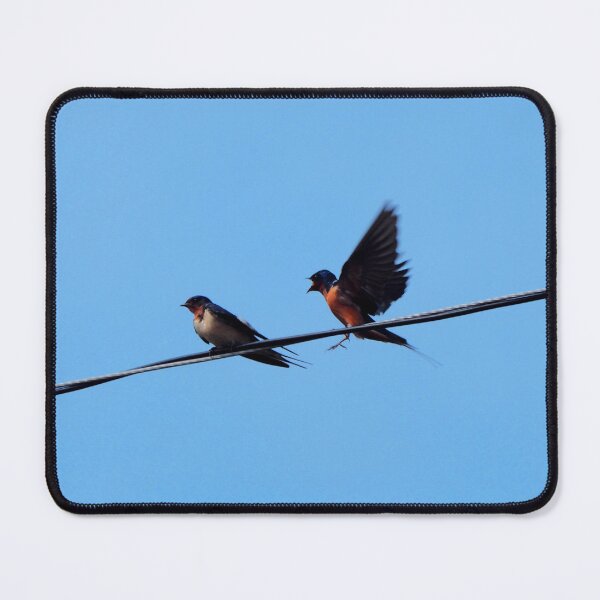Item preview, Barn Swallows Perched On a Wire designed and sold by BackyardBirder.